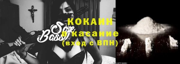 гашик Касимов