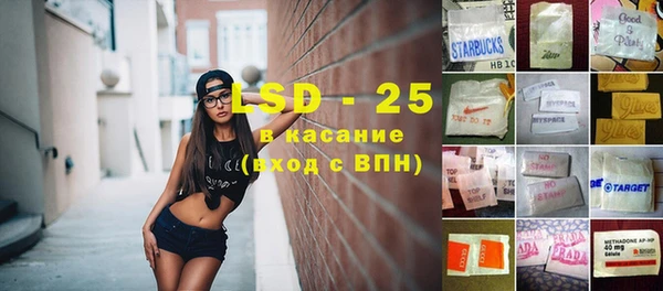 гашик Касимов