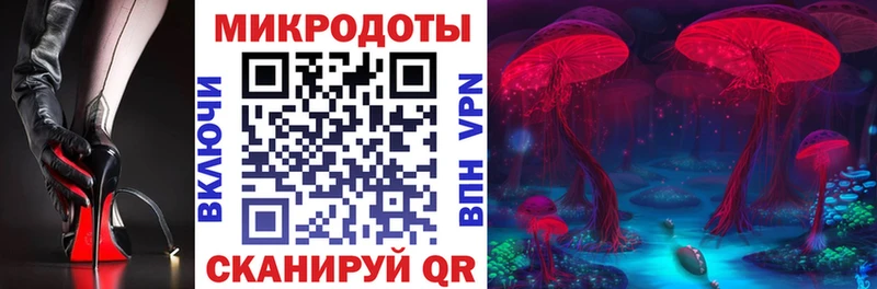 Купить закладки  Белый  Псилоцибиновые грибы GOLDEN TEACHER 
